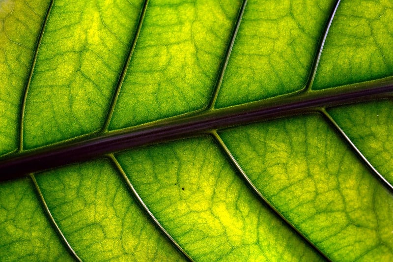 Eco-friendly lifestyle